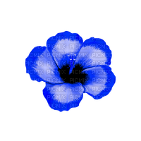 Tropical.Flower.Blue - PNG gratuit