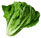 Kaz_Creations Vegetables - nemokama png