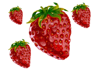 patymirabelle fraises - PNG gratuit