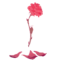 Red Rose - Δωρεάν κινούμενο GIF