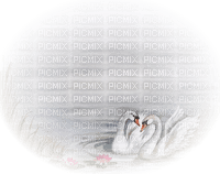 loly33 cygne - png gratuito