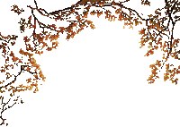 hojas otoño gif dubravka4 - GIF animado gratis