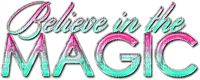 Believe In The Magic.Text.Pink.Teal - PNG gratuit