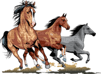 Kaz_Creations Horses - nemokama png