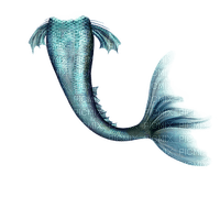mermaid tail merenneito pyrstö - zadarmo png