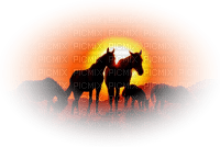caballos - darmowe png