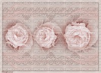 bg rosa med blommor och deco - 無料png