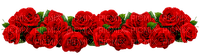 Red roses - nemokama png