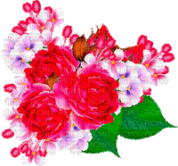 Y.A.M._Summer flowers - 免费动画 GIF