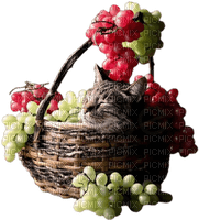 Cat -grapes -Nitsa - darmowe png