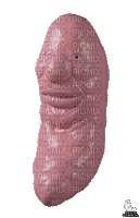 jelly morph - Безплатен анимиран GIF