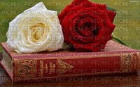ROSES AND THE BOOK - png gratis