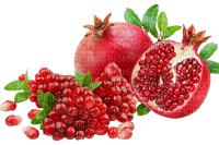 pomegranate Bb2 - bezmaksas png