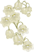 lily of the valley Bb2 - besplatni png