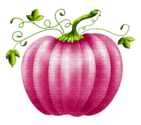 pink pumpkin Bb2 - png gratis