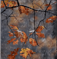 Autumn.Rain.Automne.Otoño.gif.Victoriabea