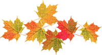 automne feuilles deco autumn leaves border - PNG gratuit