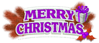 Y.A.M._Christmas text - nemokama png