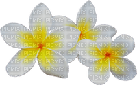 Flowers yellow bp - png gratuito