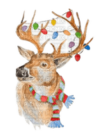 loly33 cerf hiver  noël - 免费PNG