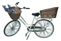 Kaz_Creations Bike - ilmainen png