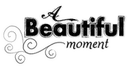 Kaz_Creations Text A Beautiful Moment - png gratis