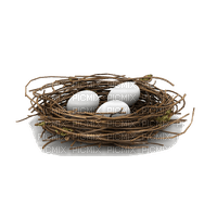 Bird Nest - фрее пнг