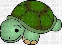 turtle - zadarmo png