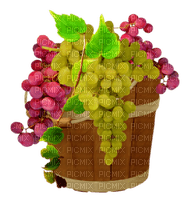 grapes by nataliplus - zdarma png