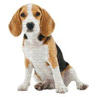 chien dog - darmowe png