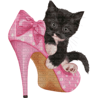 Kaz_Creations Cat Kitten In Pink Shoe