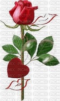 rosa roja - png grátis
