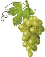 grapes   Bb2 - zadarmo png