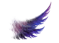 wings - Paola - png gratuito