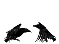 cuervos - Бесплатный анимированный гифка