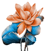 soave deco  animated   lilies blue orange - Бесплатный анимированный гифка