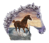 horse - Darmowy animowany GIF