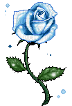 Fleur bleue - Ingyenes animált GIF