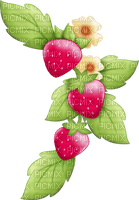 Strawberry Red Green Yellow Charlotte -  Bogusia - png gratis
