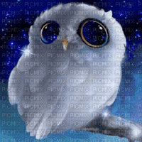 Fantasy Owl - GIF animado grátis