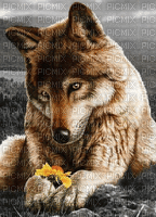 wolf - GIF animasi gratis