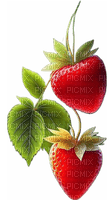fragole - Free PNG