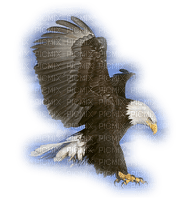 Kaz_Creations Birds Bird Eagle - png gratis