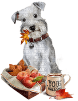 Autumn. Dog. Coffee. Apples. Leila - Free PNG
