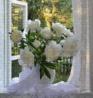 Window to the Garden - Free PNG