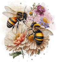 bee, flower, summer, abeille, été - gratis png