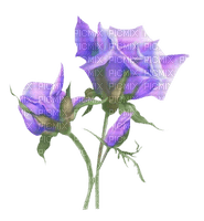 Purple Roses - PNG gratuit