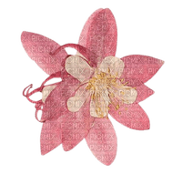 pink pressed flower - png gratuito