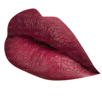 lèvres - png gratis