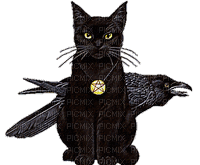 chat et corbeau - Free animated GIF